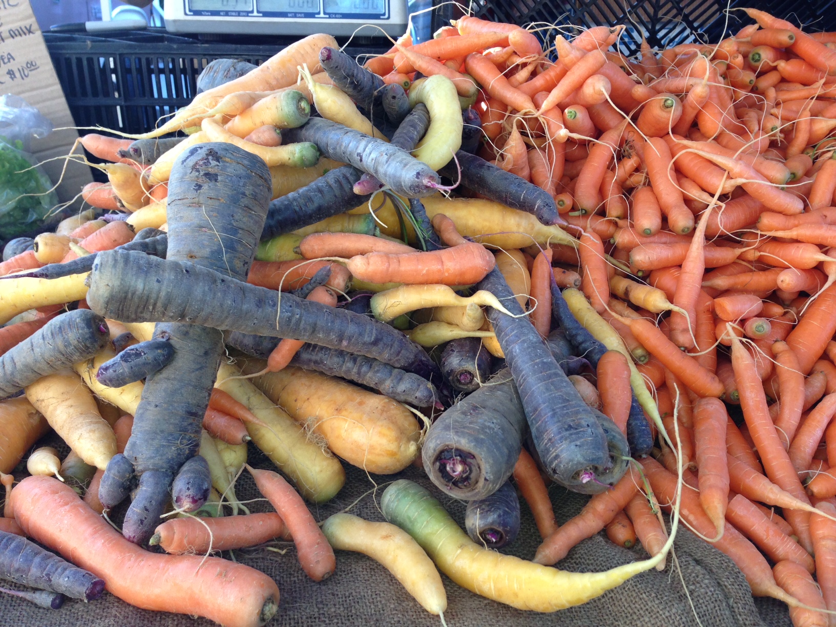 carrots farmers market