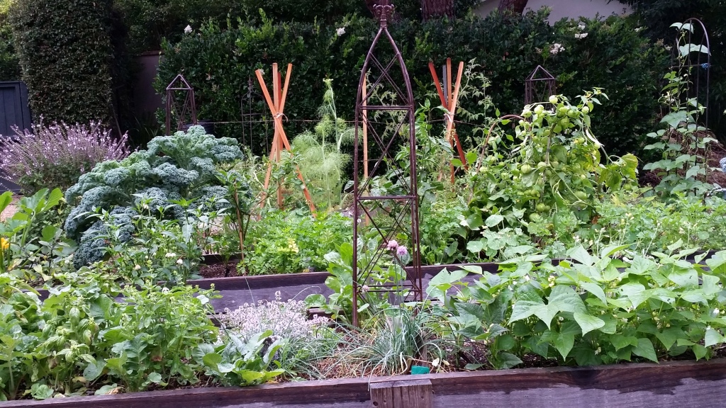 garden 2015