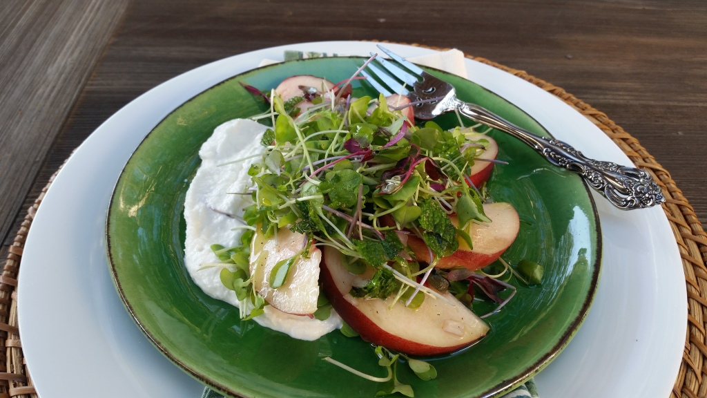 peach and burrata salad